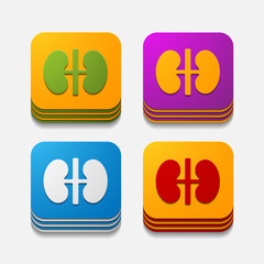 Obraz premium square button: kidneys