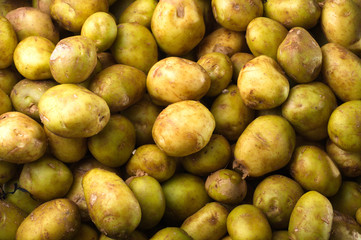 the potatoes on the top view