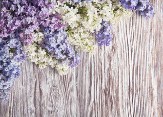 lilac flowers on wood background, blossom branch on vintage wood