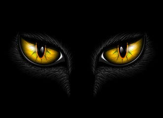 yellow cat's eye