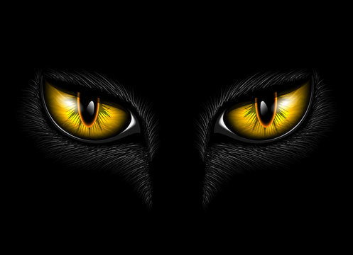 yellow cat's eye