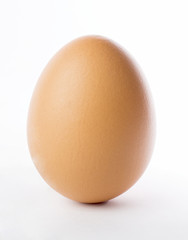 Egg standding isolated