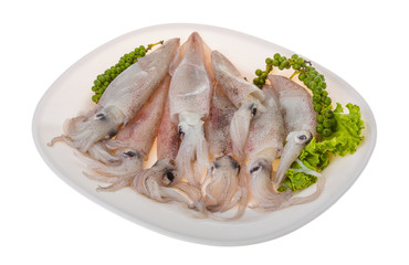 Raw calamari
