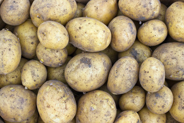 potatoes