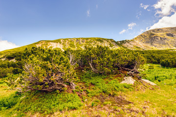 Landscape with the spectacular Parang  mountains in Romania
