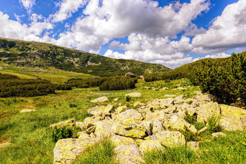 Fototapeta na wymiar Landscape with the spectacular Parang mountains in Romania