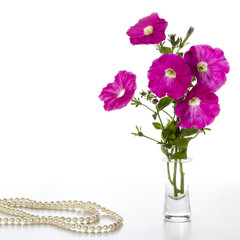 Bouquet of pink petunias