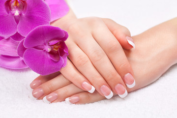 Fototapeta premium Beautiful woman's hand with perfect french manicure 