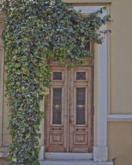 Fototapeta na wymiar house wooden door and ivy plant, Athens Greece