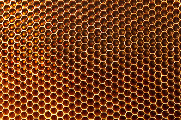 Beautiful honeycomb without honey texture