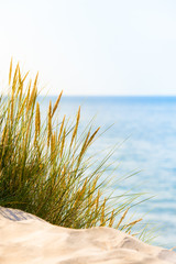 Bright Beach Scene