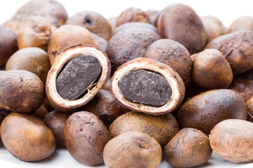 Mushroom - Barometer Earthstars