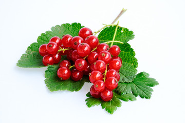 Currants isolated on white background