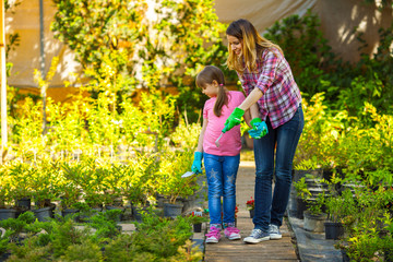 Fototapeta premium Mother and daughter planting flowers together.