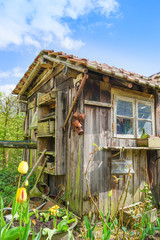 Alter Geräteschuppen im Garten