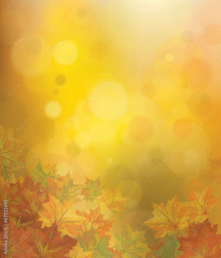 Canvas Prints vector autumnal leaves on bokeh background.