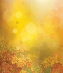 Fototapeta premium Vector autumnal leaves on bokeh background.