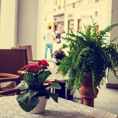 Vintage outdoor restaurant