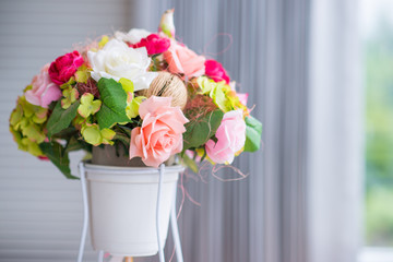 Colorful rose flower in pot