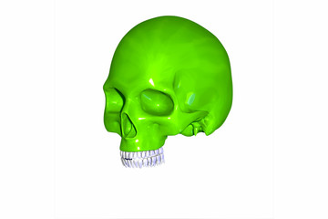 skull