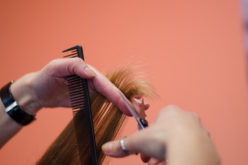 hairdresser shorten ends of the hair with scissors