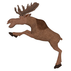 Fototapeta na wymiar cartoon moose