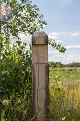 Image wooden pillar at the border of the field
