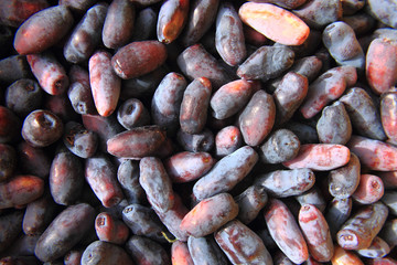 Honeysuckle berries