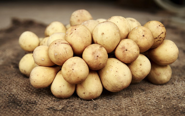 Lanzones fruit ,Longkong