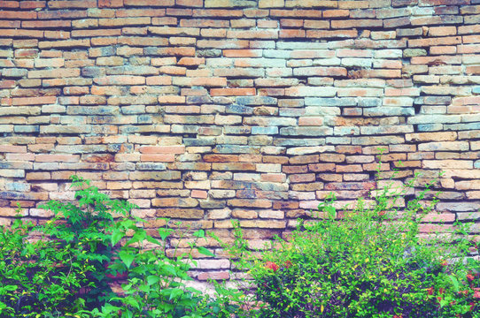Retro Brick walls and hedges © J.NATAYO