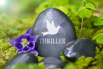 Thriller