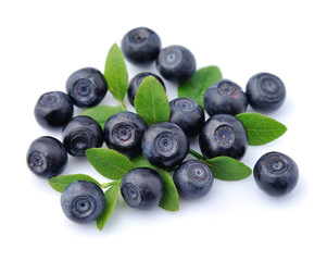 Blueberries with leaves