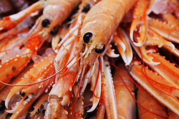 Jumbo shrimps displayed on fish market stall