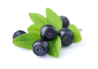Blueberries with leaves
