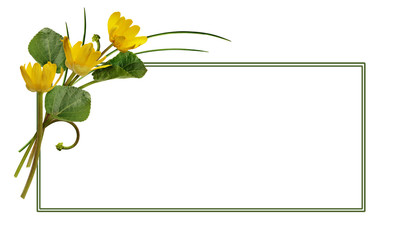 Spring wild flowers and a frame