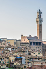Obraz premium Public Palace and it's Mangia Tower in Siena, Italy