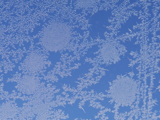 frost ice crystal on window