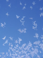 Fototapeta na wymiar frost ice crystal on window