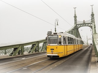 Naklejka na ściany i meble Freedom Bridge in Budapest, Hungary (misty morning)