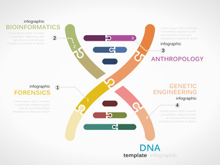 DNA concept infographic template with genetic chain