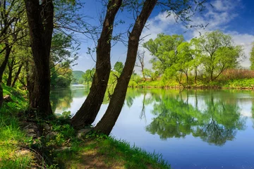 Foto auf Acrylglas Waldfluss mit Steinen und Gras © Pellinni