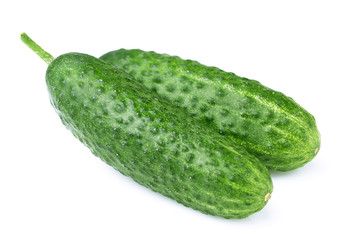 Ripe juicy cucumber