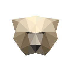 Illustration of polygonal bear portrait