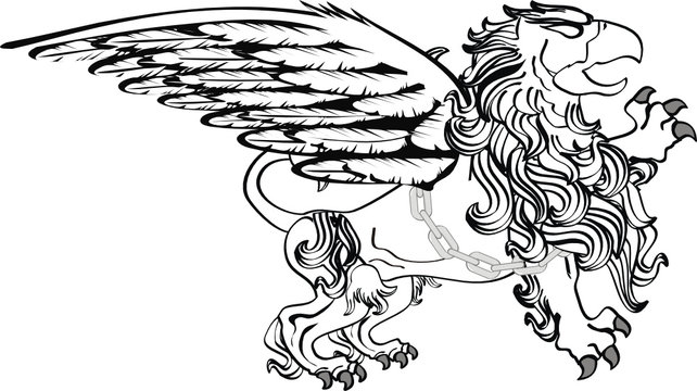 gryphon tattoo isolated07