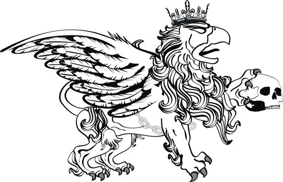 gryphon tattoo isolated06