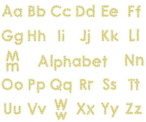 Camomile alphabet