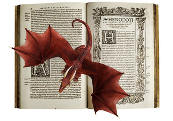 Obraz premium dragon is on the book bird eye view