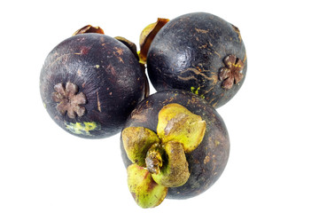 Fresh Mangosteen Fruit