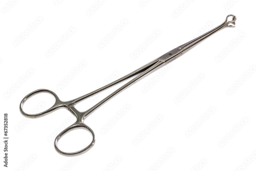 Wall mural Babcock forceps