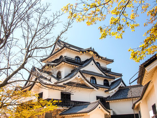 Hikone castle with blue sky in spring season, Hikone, Japan